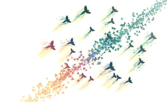 volar no solo para pájaros