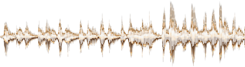 entrevista Hotel Manager